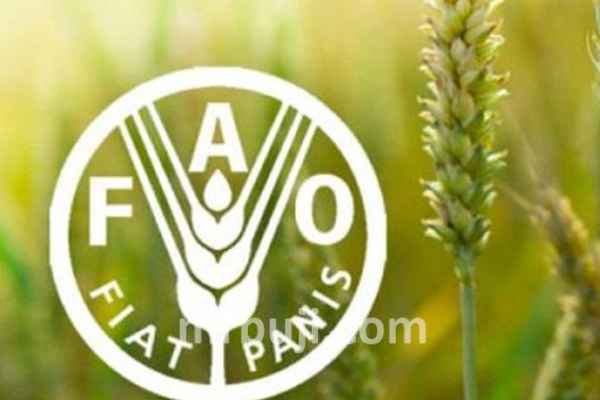 Food and Agricultural Organization.