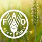 Food and Agricultural Organization.