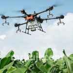 Union Bank of India.