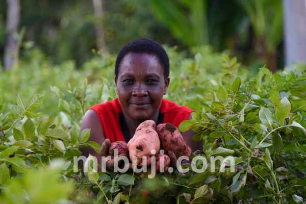 Food and Agricultural Organisation.