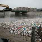 Centre for Science and Environment.