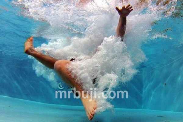 World Health Assembly.