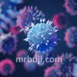 दक्षिण अफ्रीका