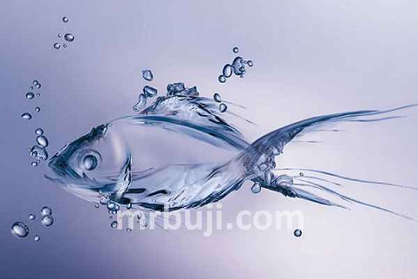 Ministry of Fisheries, Animal Husbandry and Dairying.