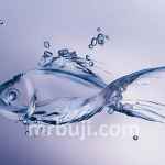 Ministry of Fisheries, Animal Husbandry and Dairying.