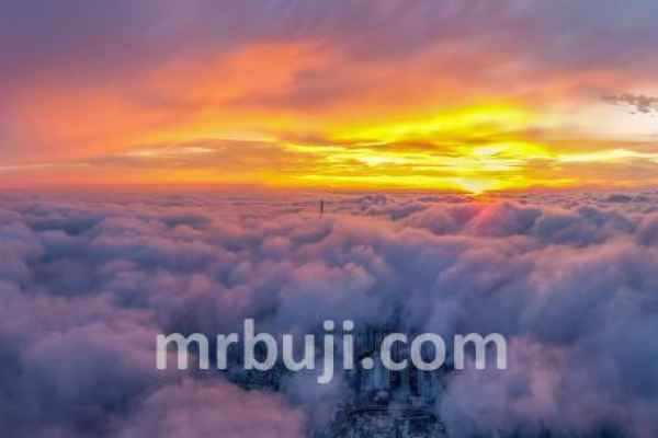 World Meteorological Organization.