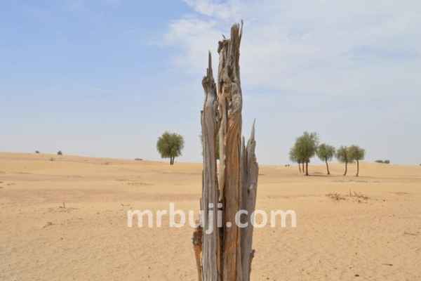 Ministry of Environment, Forest and Climate Change.