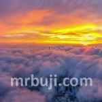 World Meteorological Organization.