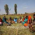 Deen Dayal Upadhyaya Kaushalya Yojana.