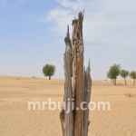 Ministry of Environment, Forest and Climate Change.