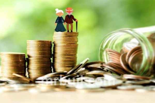 Pension Fund Regulatory and Development Authority .