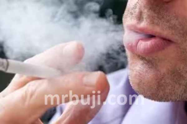 World Health Organization.