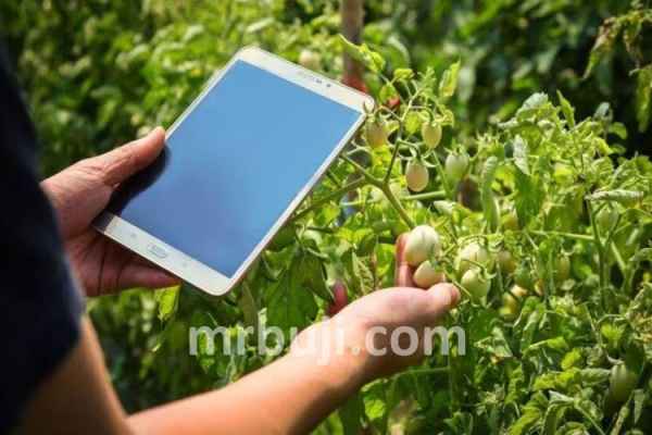 Digital Crop Survey.