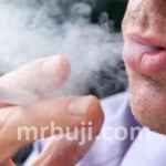 World Health Organization.