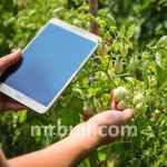 Digital Crop Survey.