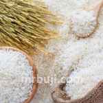 
Food and Agriculture Organization.