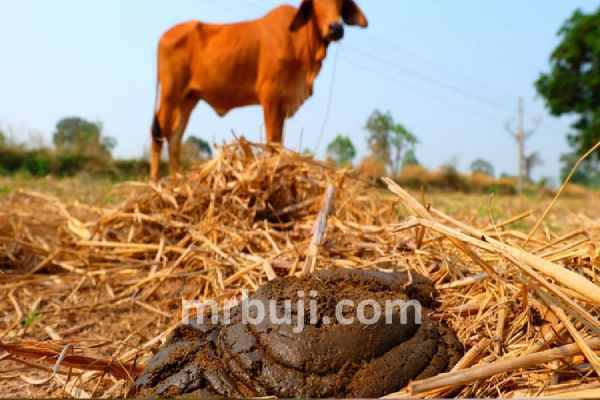 Ministry of Jal Shakti.