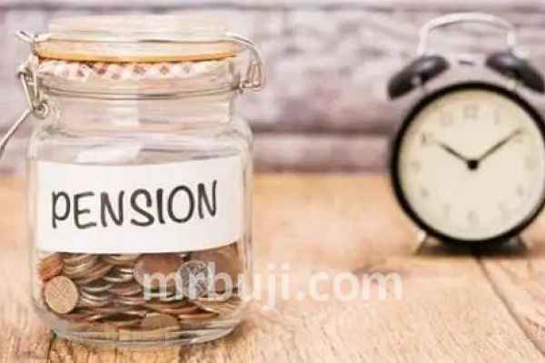 DSP Pension Fund Managers.