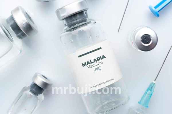 Malaria.