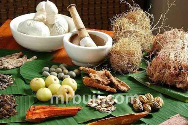 Ayurveda for One Health