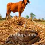 Ministry of Jal Shakti.
