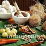 Ayurveda for One Health