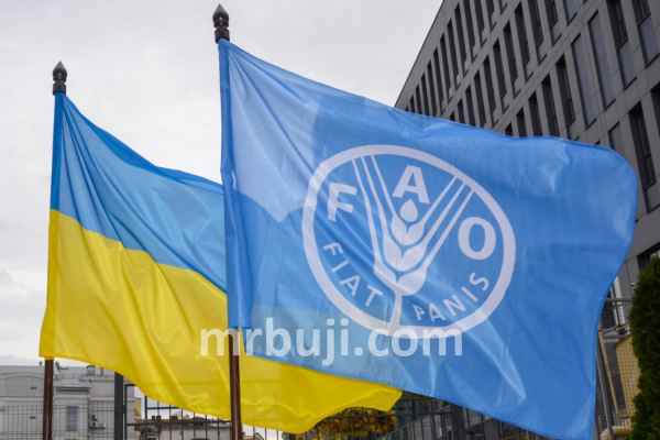 Food and Agriculture Organization.