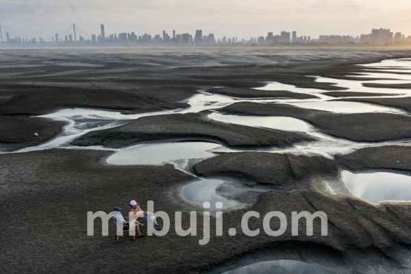 United Nations Environment Programme