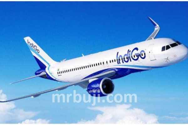 InterGlobe Enterprises