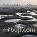 United Nations Environment Programme