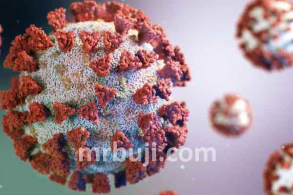 Pathogen Access and Benefit Sharing System