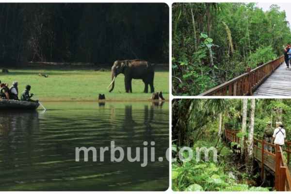 Operation Jungle Safari