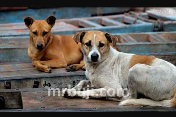 Justice S Sirijagan Commission