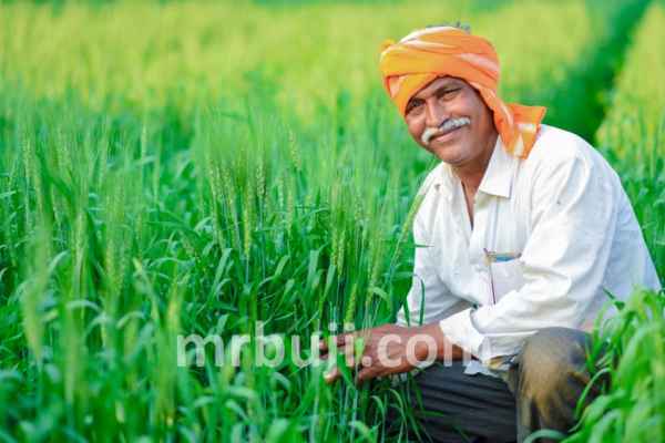 Primary Agricultural Credit Societies