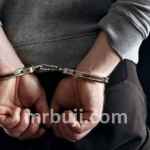 Protect the rights and dignity of individuals in police custody.