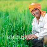 Primary Agricultural Credit Societies