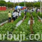 Nextgen technology-led horticulture for sustainable development