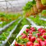 Ministry of Education and Ministry of Agriculture and Farmers Welfare