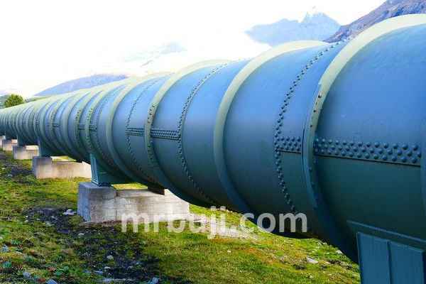 Haryana, Karnataka and Punjab