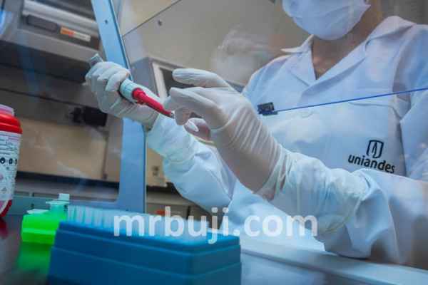 World Health Organization