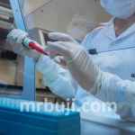 World Health Organization