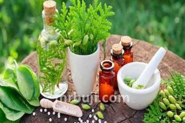 Homeoparivar: One Health, One Family