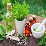 Homeoparivar: One Health, One Family