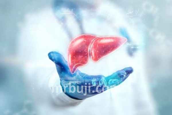 Keep your liver healthy and disease-free