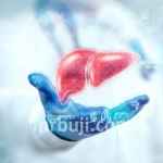 Keep your liver healthy and disease-free