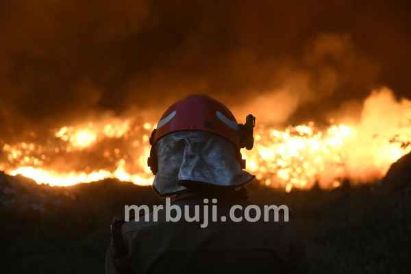 National Green Tribunal