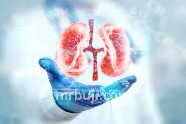 A kidney disorder causing excessive protein in urine