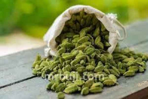 National Informatics Centre and the Spices Board of India