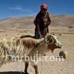 United Nations Convention to Combat Desertification