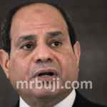 President Abdel Fattah al-Sisi